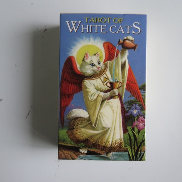 Witches tarot cards
